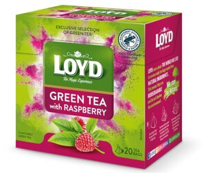 Herbata zielona Loyd Green Raspberry 20x1,5g - opinie w konesso.pl