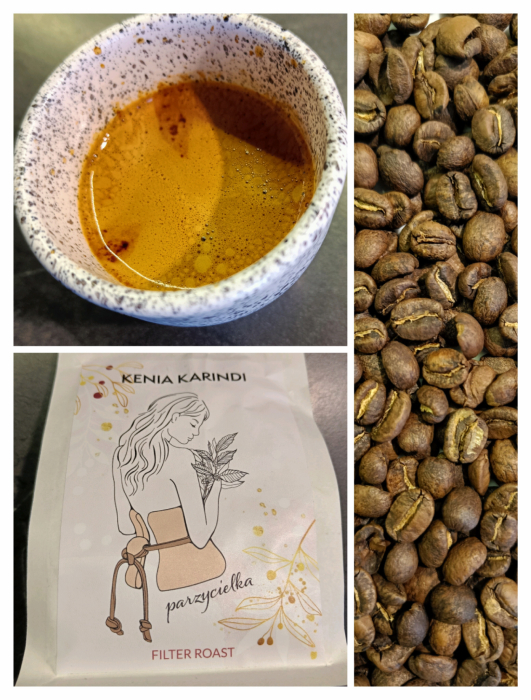 Kenia Karindi Parzycielka – Coffee Plant